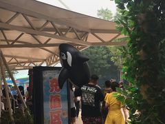 -郑州方特水上乐园