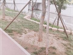 -东坝千亩湖公园