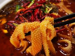 -付掌柜在成都·热炒砂锅集(金禾店)