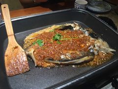 纸上烤鱼-鱼来顺纸上烤鱼