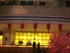 -上海浦东华美达大酒店
