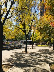 -大望京儿童游乐场