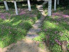 -后襄河公园