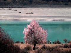 -雅鲁藏布江