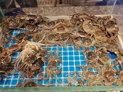 -一方渔歌蒸汽海鲜自助(文化路万达广场店)