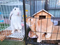 -可可天空农场(中大店)