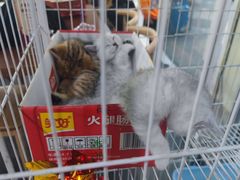 -宜宾小烧烤(川大路三段店)