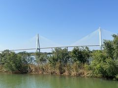 -芒洲湿地公园