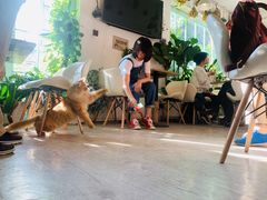 -小时光咖啡馆(北锣鼓巷店)
