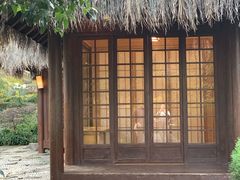 -中国茶叶博物馆(双峰馆区)