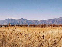 -野鸭湖国家湿地公园