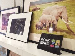 -北京三里屯CHAO酒店