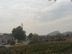 -周震馄饨