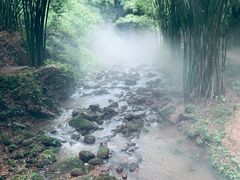 -川西竹海景区