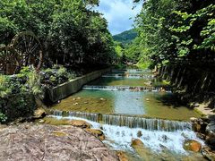 -广州白江湖森林公园