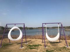 -上海都市菜园