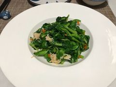 瑶柱豌豆尖-肆月河豚·新淮扬(金融街店)