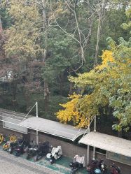 -上海首尔丽格医疗美容医院