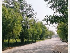 -汉长安城未央宫国家考古遗址公园