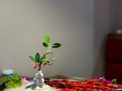 -舞虾小说.涮肉.烧烤(国顺东路店)