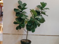 -古洼一锅鲜(开发区店)