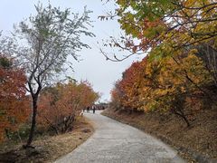 -国家植物园南园