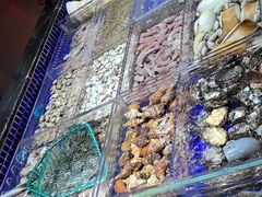 -高佳庄·舟山海鲜(海景旗舰店)