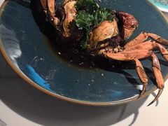 -雀蓝川菜(滨湖万象汇店)