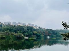 -重庆彩云湖湿地公园
