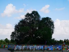 -亿利库布其七星湖沙漠生态旅游区