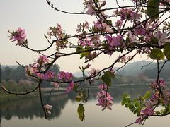 -南国桃园旅游度假区