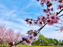 -白塘生态植物园