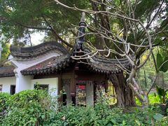 -深圳国际园林花卉博览园