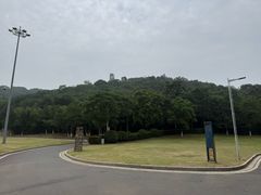 -羊山湖公园