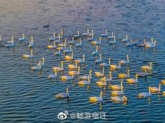 -泗洪洪泽湖湿地景区