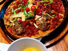 -老板恋上鱼(恒隆广场店)