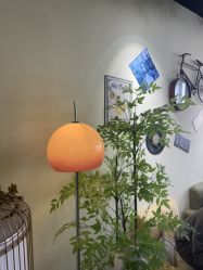 -变美丽半永久纹眉连锁·机器野生眉•洗眉