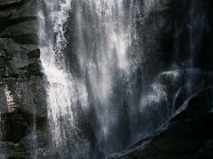 -海南热带雨林国家公园吊罗山景区