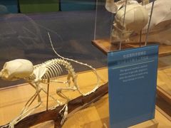 -香港科学馆