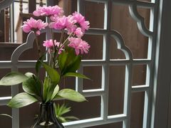 -狮王府淮扬菜(夫子庙老门东店)