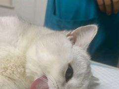 -宠颐生汉谟拉比宠物医院