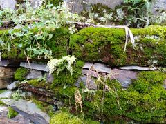 -新安江山水画廊风景区