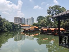 -侨美·唐荔园·40年地道粤菜