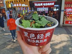 -黑色经典臭豆腐·湖南特产(坡子街店)