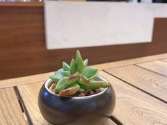 -Peet's 皮爷咖啡(陆家嘴中心店)