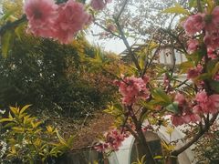 -三圣花乡旅游区