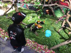 -灵玲国际马戏城