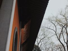 -灵隐飞来峰景区