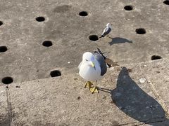 -星海广场