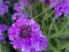 -上海植物园-4号门售票处